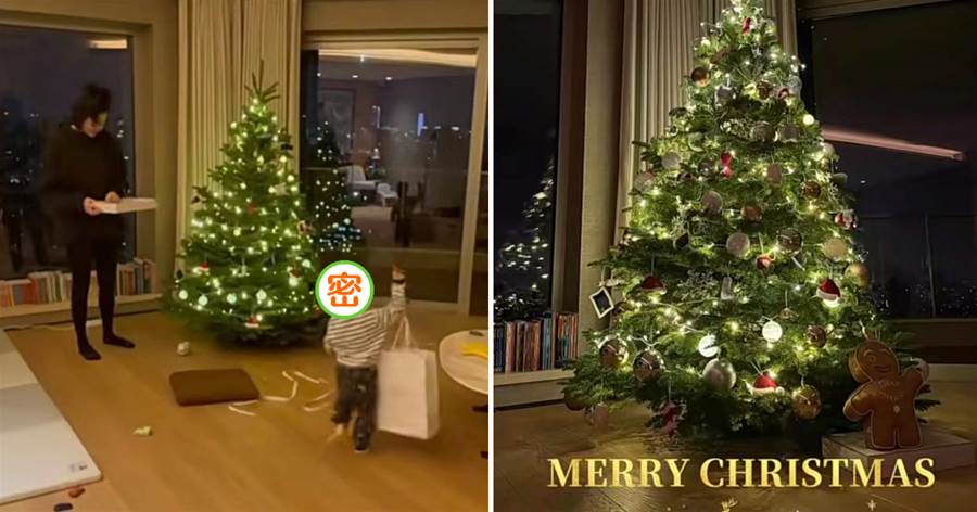 奚夢瑤產後陪兒子裝飾聖誕樹，超大客廳好敞亮，配文稱「一些生活的儀式感」，網友留言稱：「這家是真大呀」
