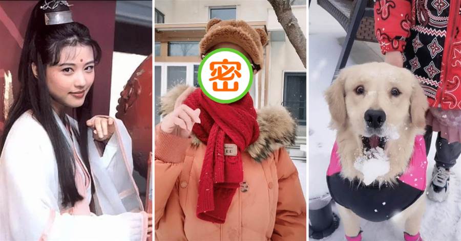 周海媚興奮玩雪，皮膚白皙如少女「沒有半點老態」，一個人住北京豪宅達20年，網友：沒有愛情也一樣快樂